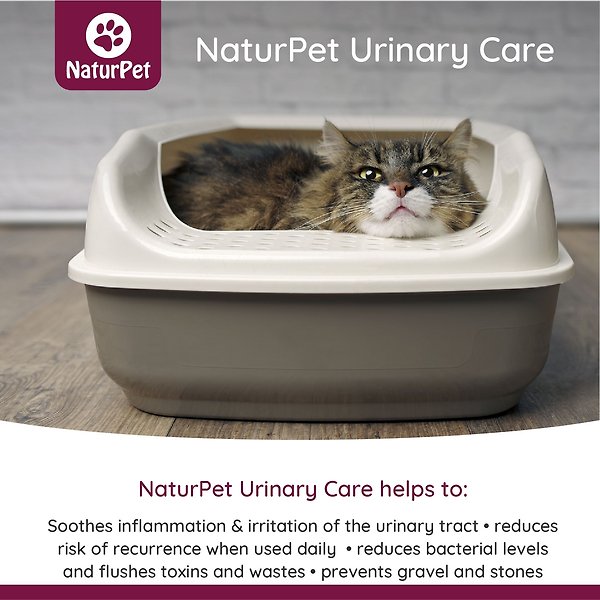 Show full view: NaturPet Urinary Care Liquid Supplement for Dogs & Cats, 100-mL bottle slide 3 of 7