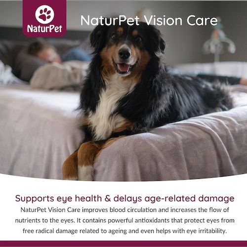 Show full view: NaturPet Vision Care Liquid Supplement for Dogs & Cats, 100-mL bottle slide 5 of 7