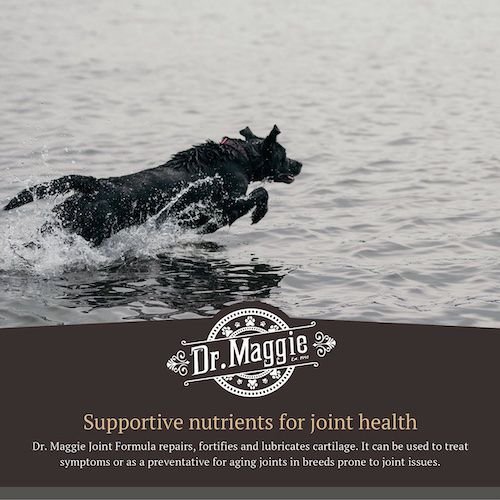 Show full view: Dr. Maggie Joint Formula Liquid Supplement for Dogs & Cats, 240-mL bottle slide 5 of 7
