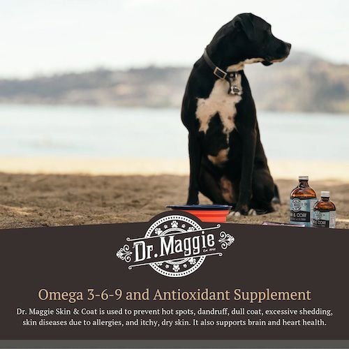 Show full view: Dr. Maggie Skin & Coat Liquid Supplement for Dogs & Cats, 240-mL bottle slide 5 of 6