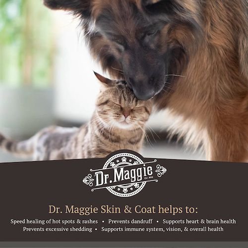 Show full view: Dr. Maggie Skin & Coat Liquid Supplement for Dogs & Cats, 480-mL bottle slide 3 of 6