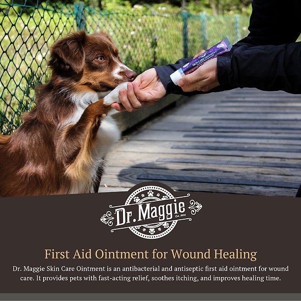 Show full view: Dr. Maggie Skin Care Ointment for Dogs, 30-g bottle slide 5 of 7