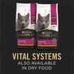 Show in main carousel: Purina Pro Plan Vital Systems Salmon Entree Wet Cat Food, 85-g can, case of 24 slide 7 of 8