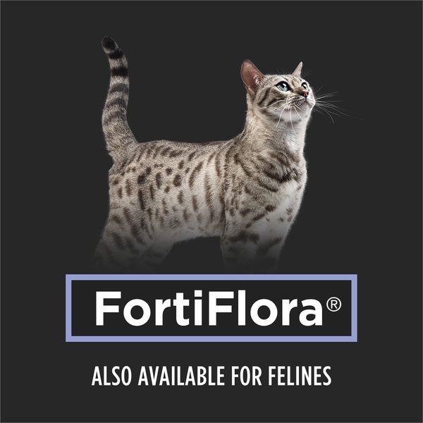 Purina Pro Plan Veterinary Supplements FortiFlora Powdered Probiotic Supplement for Dogs, 1-g sachet, case of 30