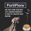 Show in main carousel: Purina Pro Plan Veterinary Supplements FortiFlora Powdered Probiotic Supplement for Dogs, 1-g sachet, case of 30 slide 6 of 10