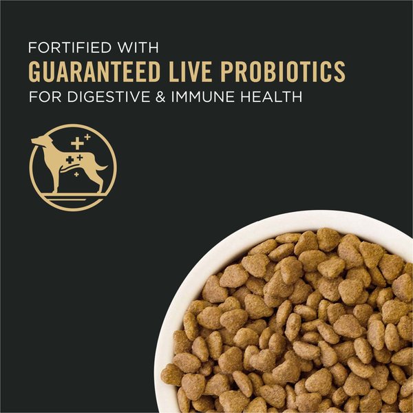 Show full view: Purina Pro Plan Sport Small Bites 27/17 Lamb & Rice Formula Dry Dog Food, 8.16-kg bag slide 8 of 11