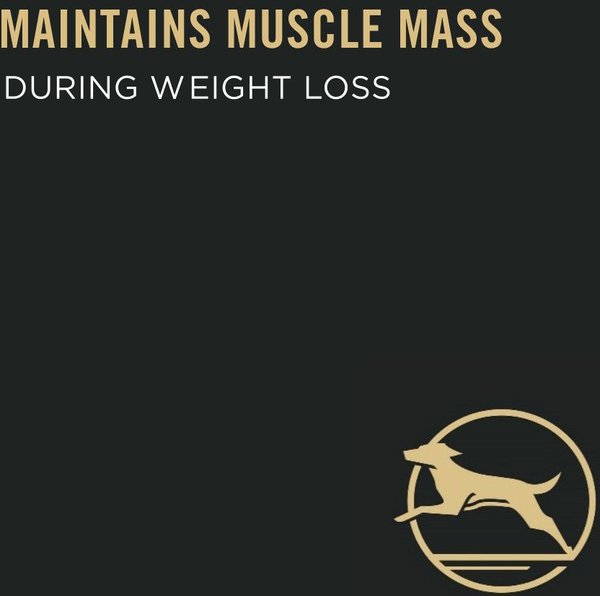 Show full view: Purina Pro Plan Weight Management Turkey & Rice Entree Morsels in Gravy Wet Dog Food, 368-g can, case of 12 slide 4 of 11