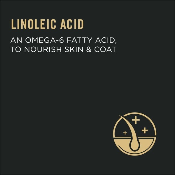 Show full view: Purina Pro Plan Urinary Tract Health Chicken & Rice Formula Dry Cat Food, 3.18-kg bag slide 5 of 11