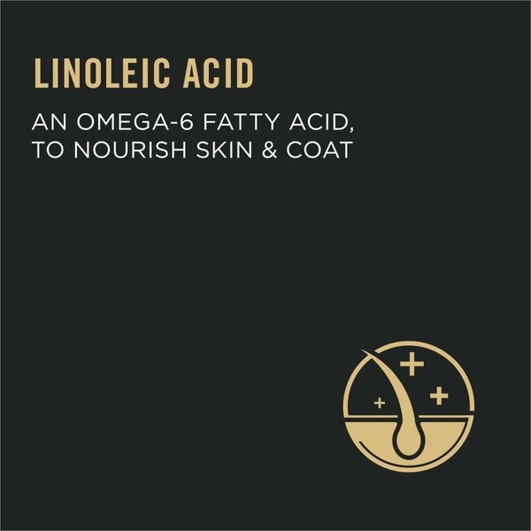 Show full view: Purina Pro Plan Urinary Tract Health Chicken & Rice Formula Dry Cat Food, 7.26-kg bag slide 5 of 11