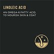 Show in main carousel: Purina Pro Plan Urinary Tract Health Chicken & Rice Formula Dry Cat Food, 7.26-kg bag slide 5 of 11