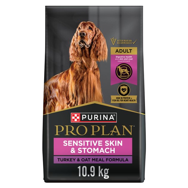 Ava veterinary approved sensitive skin 2024 and stomach adult dog food