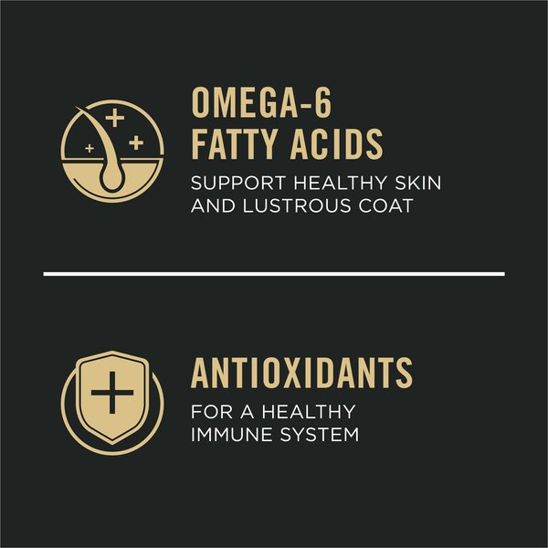 Show full view: Purina Pro Plan Sensitive Skin & Stomach Lamb & Oatmeal Formula Dry Dog Food, 10.9-kg bag slide 4 of 11