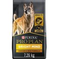 Purina Pro Plan Senior Bright Mind Chicken & Rice Formula Dry Dog Food, 7.26-kg bag