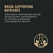 Show in main carousel: Purina Pro Plan Senior Bright Mind Chicken & Rice Formula Dry Dog Food, 13.6-kg bag slide 4 of 11