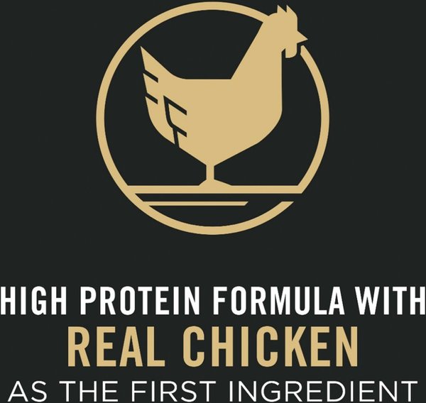 Show full view: Purina Pro Plan Senior Bright Mind Chicken & Rice Formula Dry Dog Food, 13.6-kg bag slide 6 of 11