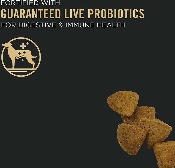 Show full view: Purina Pro Plan Senior Bright Mind Chicken & Rice Formula Dry Dog Food, 13.6-kg bag slide 7 of 11