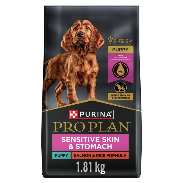 Purina store brain diet