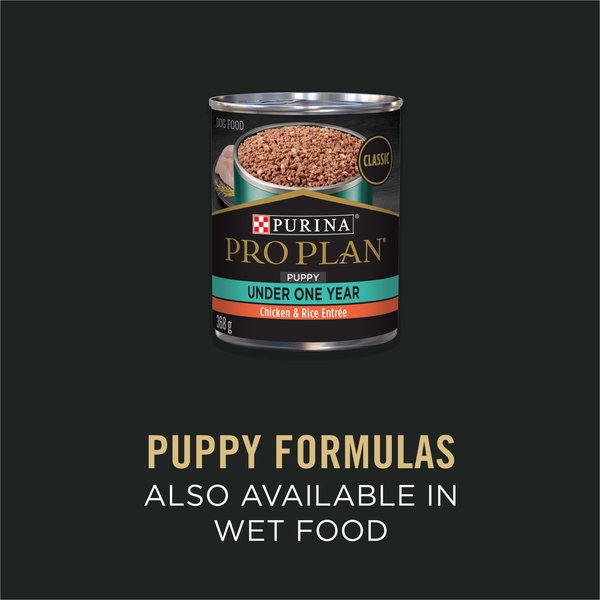 Show full view: Purina Pro Plan Development Sensitive Skin & Stomach Salmon & Rice Formula Dry Dog Food, 7.26-kg bag slide 6 of 11
