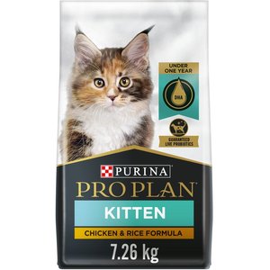Purina Pro Plan Kitten Development Chicken & Rice Formula Dry Cat Food, 7.26-kg bag