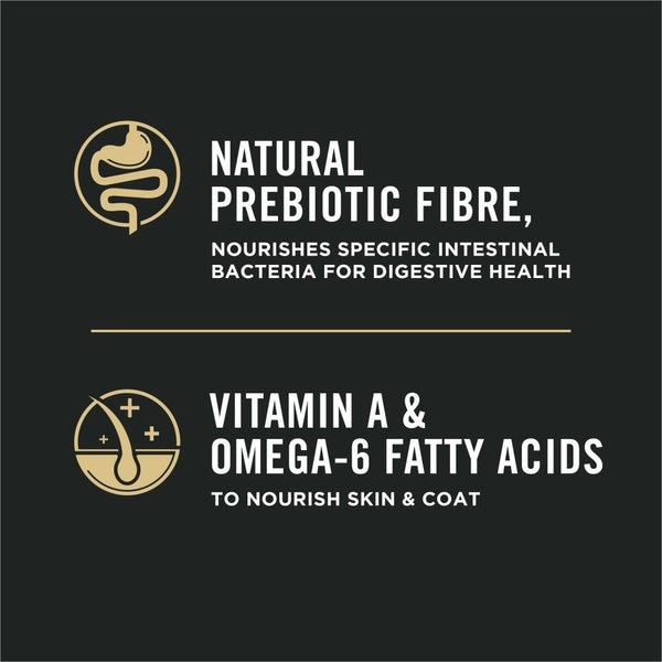 Show full view: Purina Pro Plan Complete Essentials Shredded Blend Chicken & Rice Formula Dry Cat Food, 6.35-kg bag slide 5 of 10