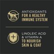 Show in main carousel: Purina Pro Plan Complete Essentials Salmon & Rice Entree in Sauce Wet Cat Food, 85-g can, case of 24 slide 4 of 11