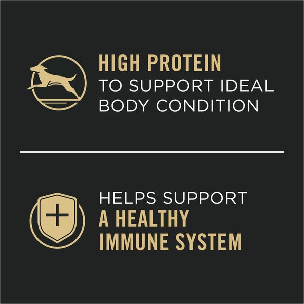 Show full view: Purina Pro Plan Complete Essentials Beef & Rice Entree Wet Dog Food, 368-g can, case of 12 slide 4 of 10