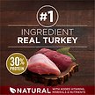 Show in main carousel: Purina ONE True Instinct Turkey & Venison Dry Dog Food, 12.4-kg bag slide 4 of 11