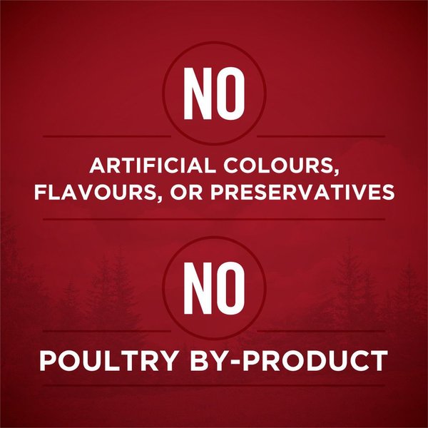 Show full view: Purina ONE True Instinct Tender Cuts in Gravy with Real Beef & Bison Wet Dog Food, 368-g can, case of 12 slide 5 of 10
