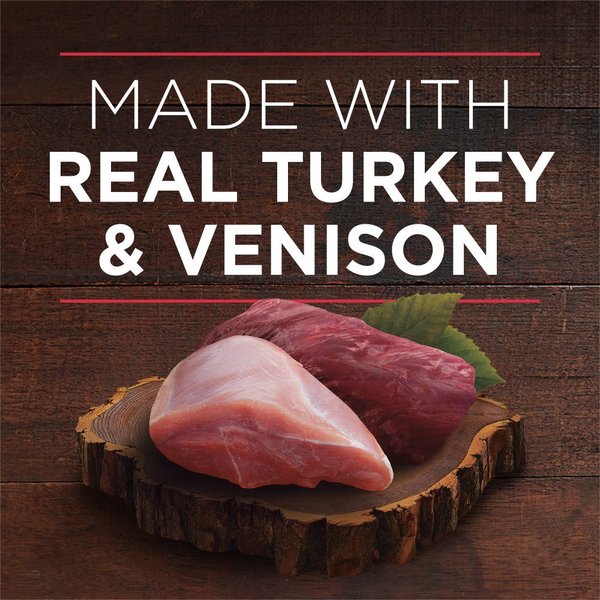 Show full view: Purina ONE True Instinct Tender Cuts in Gravy Turkey & Venison Wet Dog Food, 368-g can, case of 12 slide 4 of 11