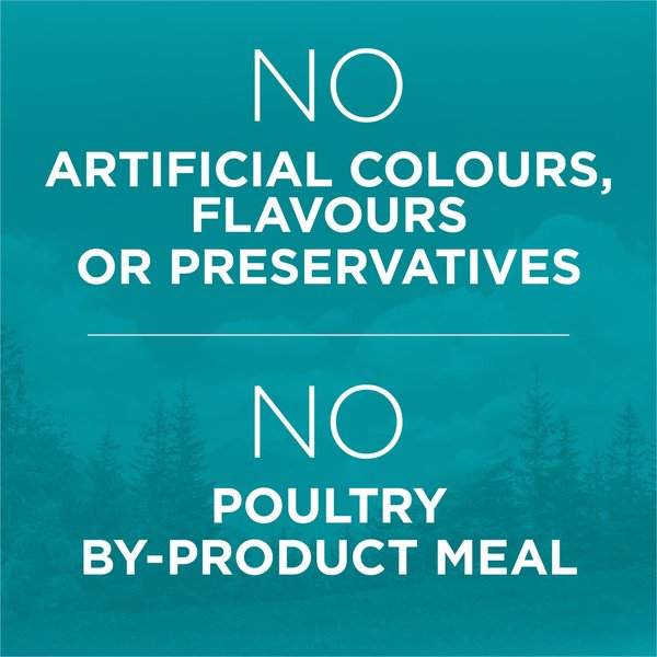 Show full view: Purina ONE True Instinct Grain-Free Chicken Dry Cat Food, 6.53-kg bag slide 6 of 11