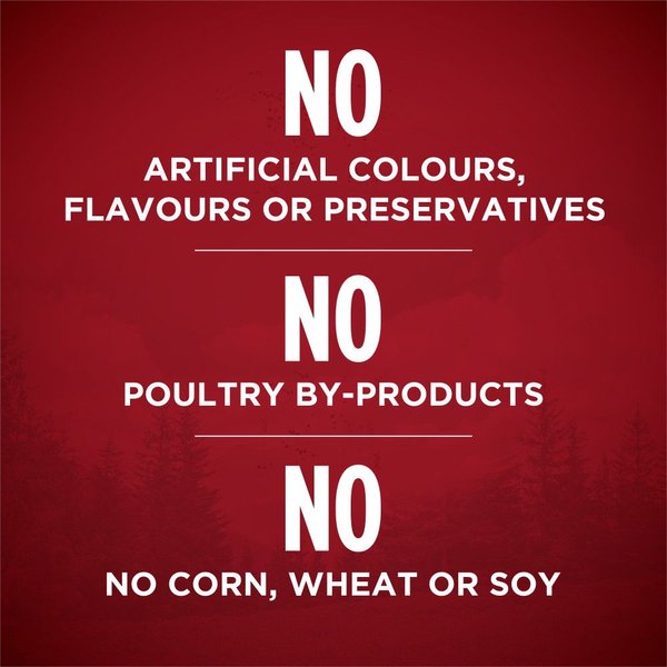 Show full view: Purina ONE True Instinct Classic Ground Beef & Wild-Caught Salmon Wet Dog Food, 368-g can, case of 12 slide 5 of 10