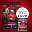 Show in main carousel: Purina ONE True Instinct Classic Ground Beef & Bison Wet Dog Food, 368-g can, case of 12 slide 6 of 10