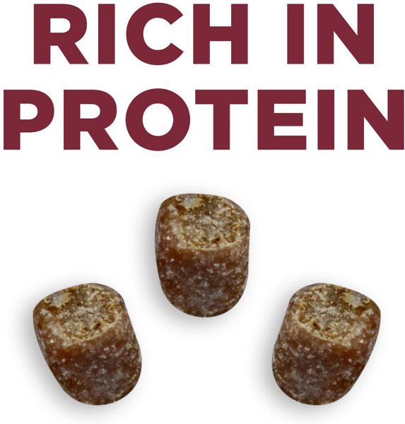 Show full view: Purina ONE True Instinct Bites Venison Dog Treats, 566-g pouch slide 4 of 9