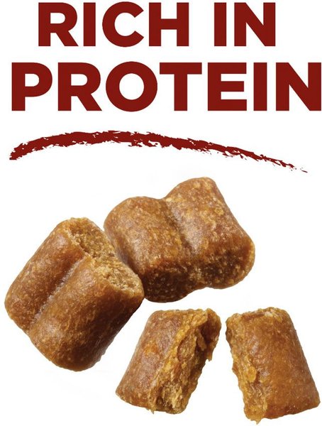 Show full view: Purina ONE True Instinct Bites Salmon Dog Treats, 566-g pouch slide 4 of 9