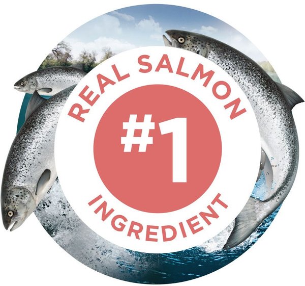 Show full view: Purina ONE True Instinct Bites Salmon Dog Treats, 566-g pouch slide 5 of 9