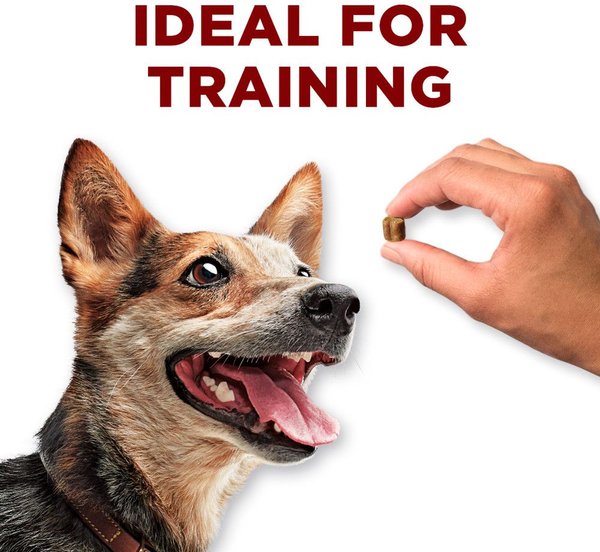 Show full view: Purina ONE True Instinct Bites Salmon Dog Treats, 566-g pouch slide 6 of 9