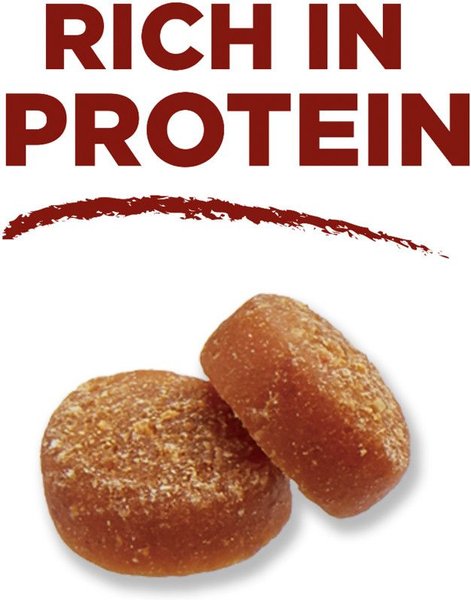 Show full view: Purina ONE True Instinct Bites Chicken Dog Treats, 566-g pouch slide 4 of 10