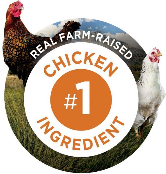 Show full view: Purina ONE True Instinct Bites Chicken Dog Treats, 566-g pouch slide 5 of 10