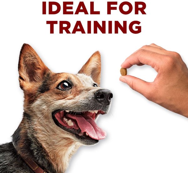 Show full view: Purina ONE True Instinct Bites Chicken Dog Treats, 566-g pouch slide 6 of 10