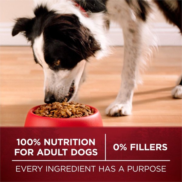 Show full view: Purina ONE True Instinct Beef & Salmon Dry Dog Food, 1.72-kg bag slide 7 of 10