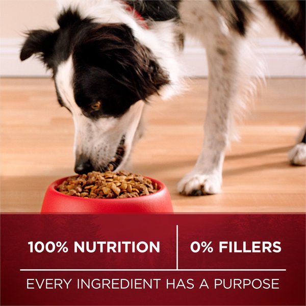 Show full view: Purina ONE True Instinct Beef & Bison Dry Dog Food, 6.8-kg bag slide 7 of 9