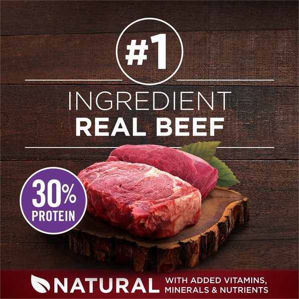 Show full view: Purina ONE True Instinct Beef & Bison Dry Dog Food, 12.4-kg bag slide 4 of 9