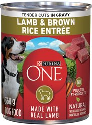 Purina ONE Tender Cuts in Gravy Lamb & Brown Rice Entree Wet Dog Food, 368-g can, case of 12