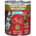 Purina ONE Tender Cuts in Gravy Lamb & Brown Rice Entree Wet Dog Food, 368-g can, case of 12
