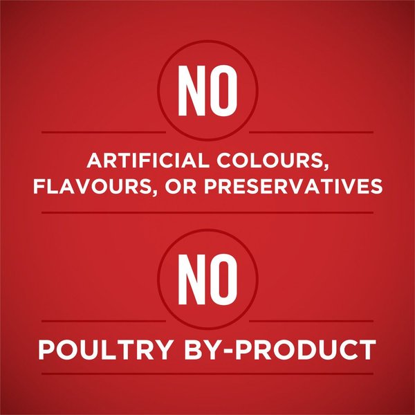 Show full view: Purina ONE Tender Cuts in Gravy Lamb & Brown Rice Entree Wet Dog Food, 368-g can, case of 12 slide 5 of 11