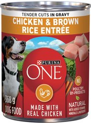 Purina ONE Tender Cuts in Gravy Chicken & Brown Rice Entree Wet Dog Food, 368-g can, case of 12