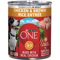 Purina ONE Tender Cuts in Gravy Chicken & Brown Rice Entree Wet Dog Food, 368-g can, case of 12