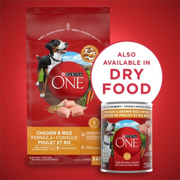 Show full view: Purina ONE Tender Cuts in Gravy Chicken & Brown Rice Entree Wet Dog Food, 368-g can, case of 12 slide 7 of 12