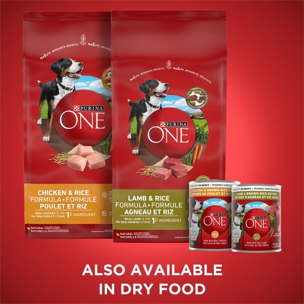 Show full view: Purina ONE SmartBlend Tender Cuts in Gravy Variety Pack Chicken & Lamb Wet Dog Food, 368-g can, case of 12 slide 7 of 9