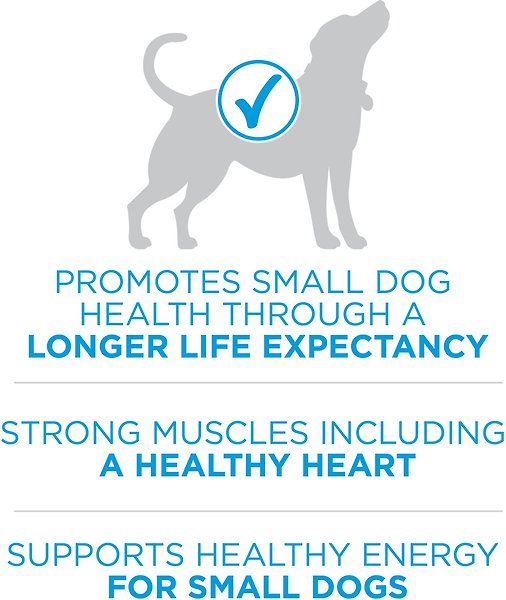 Show full view: Purina ONE SmartBlend Small Breed Formula Beef Dry Dog Food, 1.81-kg bag slide 5 of 9